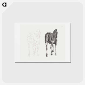 アートポストカード-The Anatomy of the Horse
 - ジョージ スタッブス Postcard.