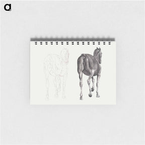アートメモ帳-The Anatomy of the Horse
 - ジョージ スタッブス Memo.