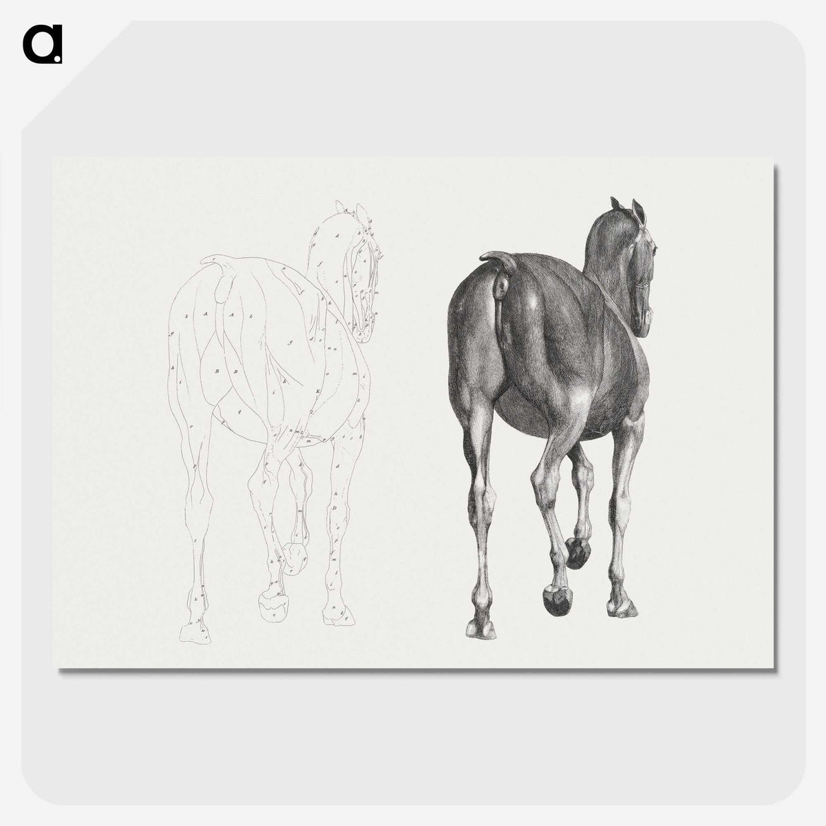 2-7_George-Stubbs_picture-crop