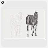 2-7_George-Stubbs_picture-crop