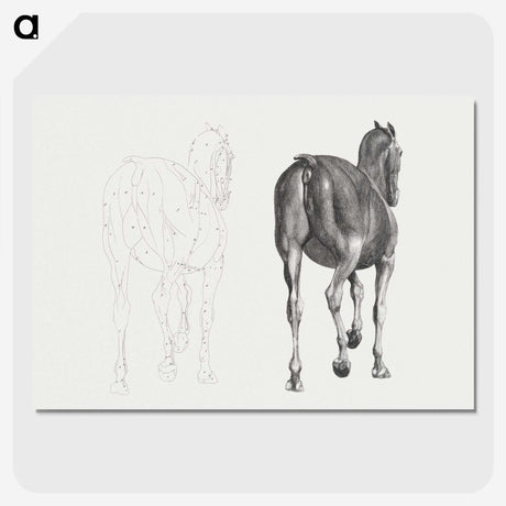 2-7_George-Stubbs_picture-crop