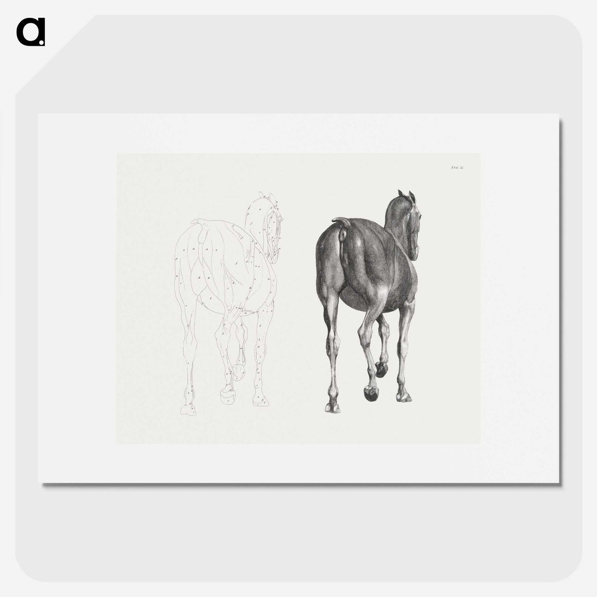 2-7_George-Stubbs_picture