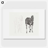 2-7_George-Stubbs_picture