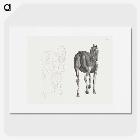 2-7_George-Stubbs_picture