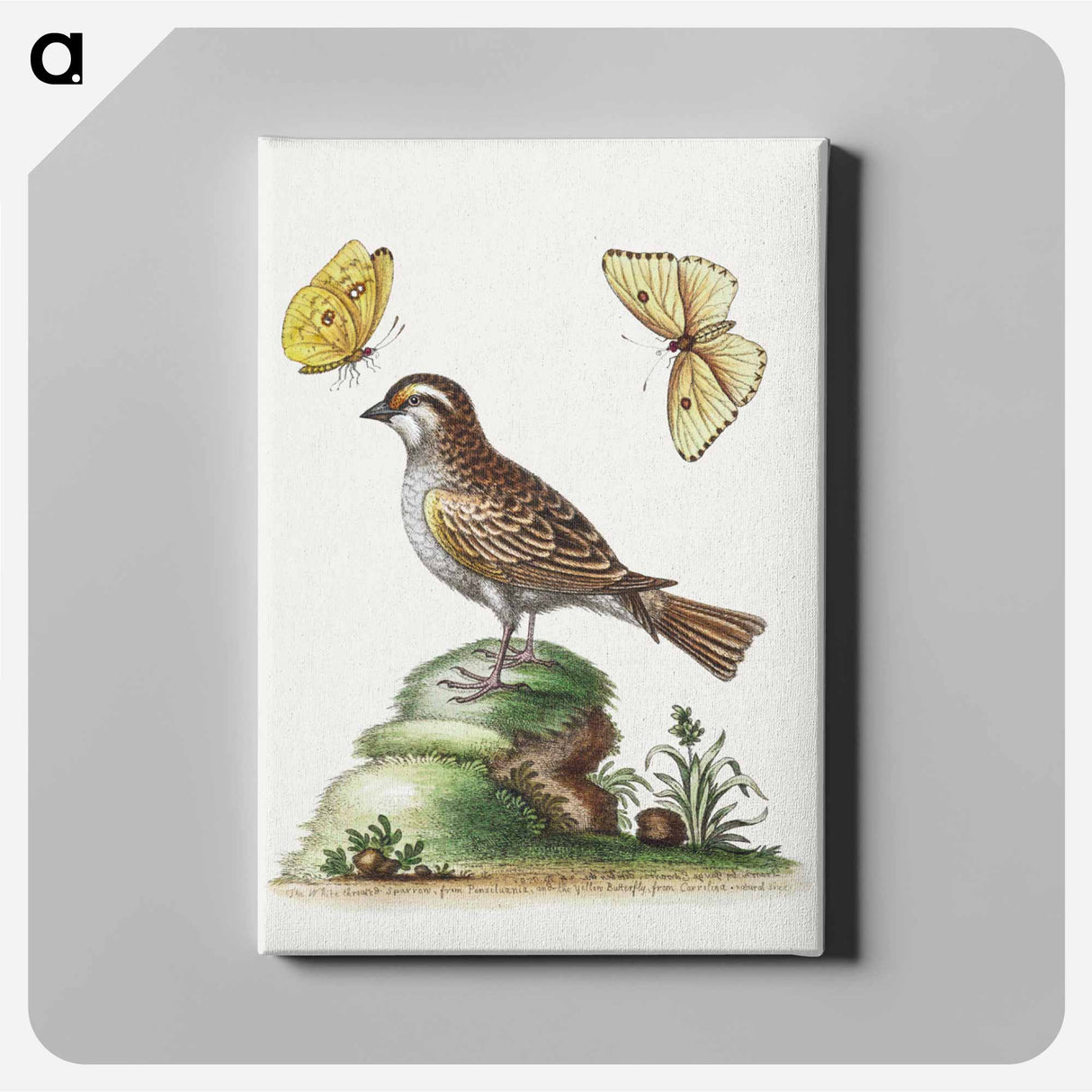 アートパネル-2013 YP139 Location
 - ハッブル画像 Canvas.