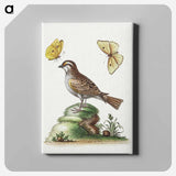 アートパネル-2013 YP139 Location
 - ハッブル画像 Canvas.