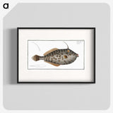 2-7_Ichtyologie-ou-Histoire-naturelle_blk