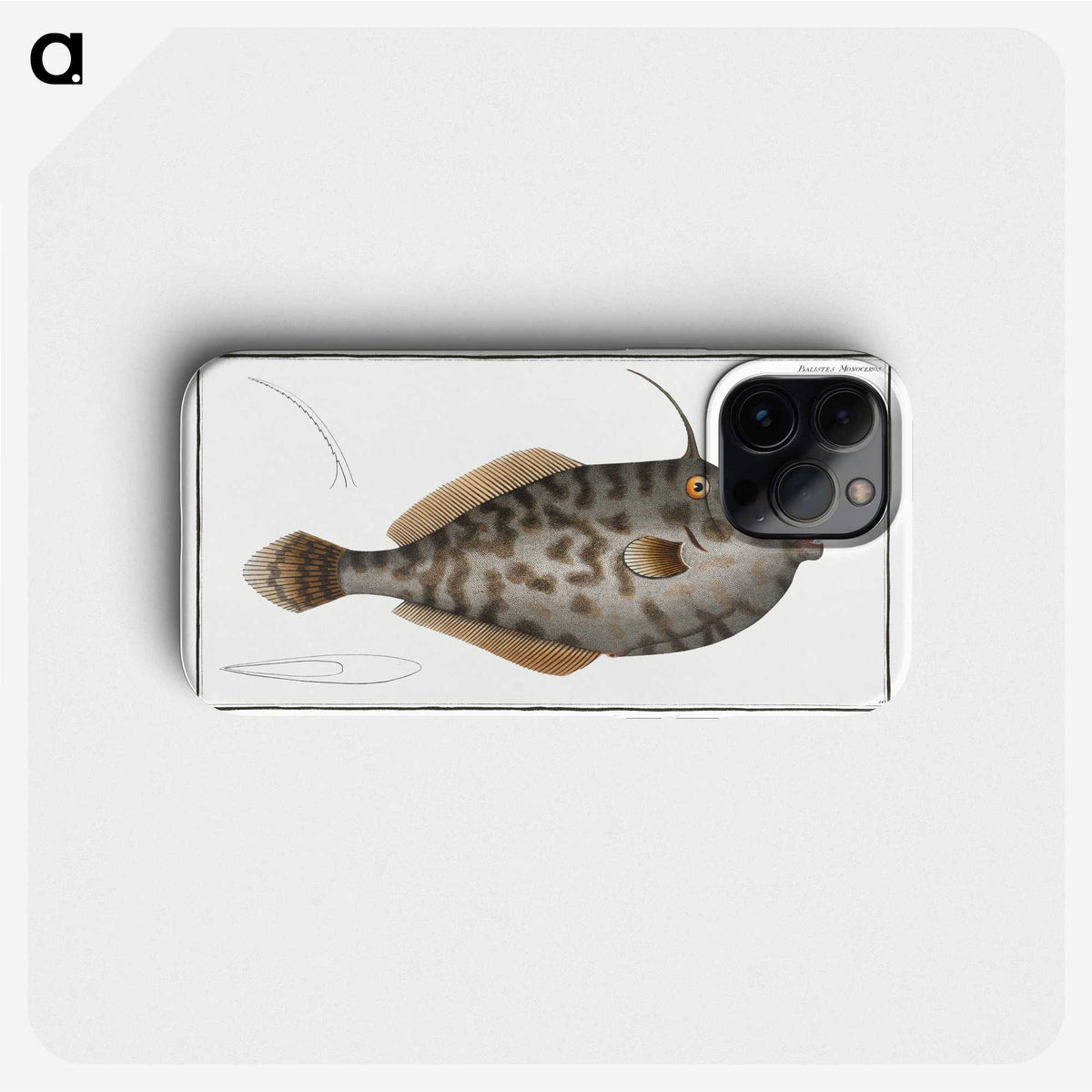 2-7_Ichtyologie-ou-Histoire-naturelle_phone
