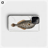 2-7_Ichtyologie-ou-Histoire-naturelle_phone