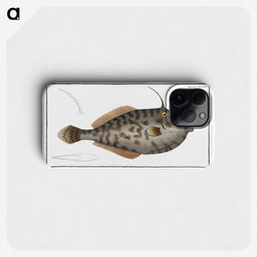 2-7_Ichtyologie-ou-Histoire-naturelle_phone