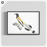 2-7_Indian-Zoology_blk-crop