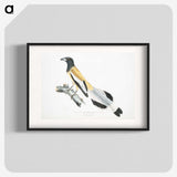 2-7_Indian-Zoology_blk