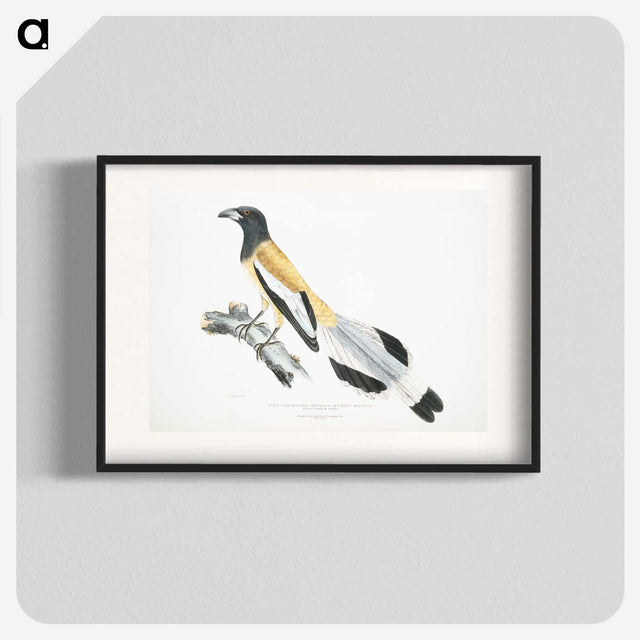 2-7_Indian-Zoology_blk