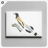2-7_Indian-Zoology_canvas