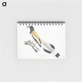 2-7_Indian-Zoology_memo