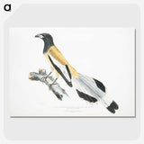 2-7_Indian-Zoology_picture-crop