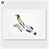 2-7_Indian-Zoology_picture