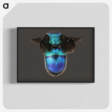 2-7_Insects-Unlocked-Project_blk-crop