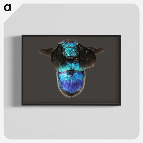 2-7_Insects-Unlocked-Project_blk-crop