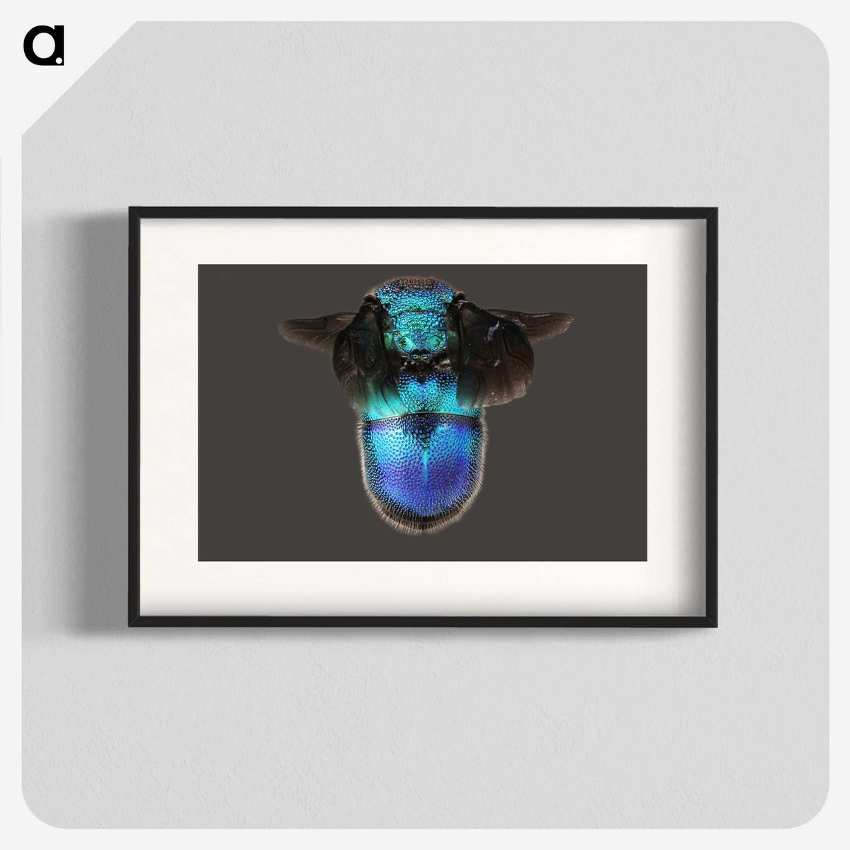 2-7_Insects-Unlocked-Project_blk