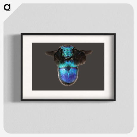 2-7_Insects-Unlocked-Project_blk