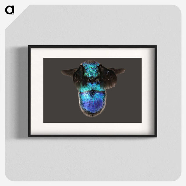 2-7_Insects-Unlocked-Project_blk