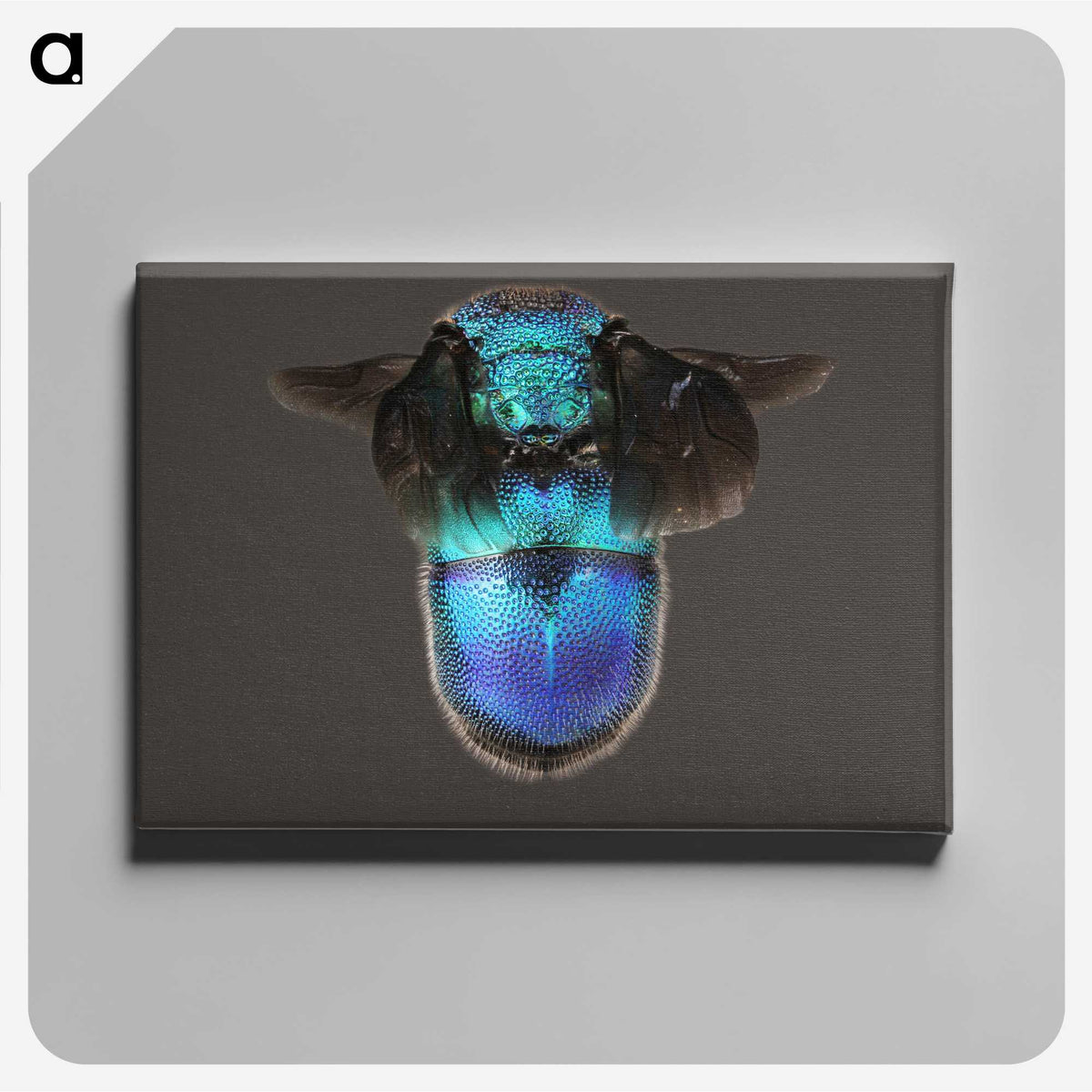 2-7_Insects-Unlocked-Project_canvas