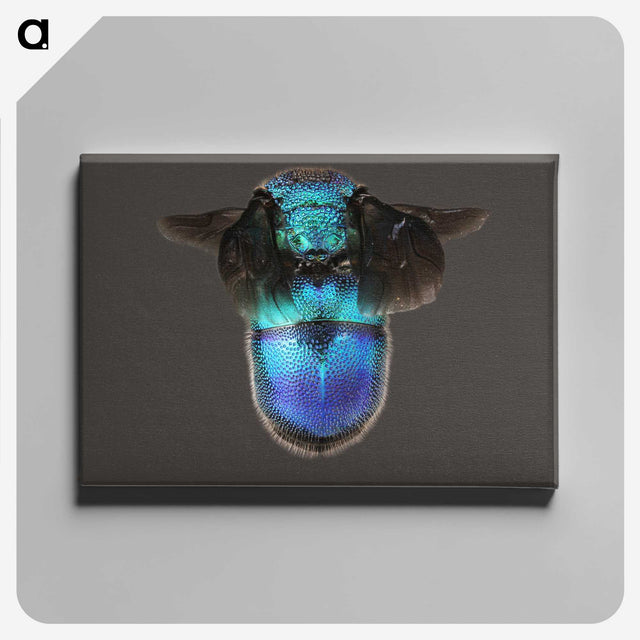 2-7_Insects-Unlocked-Project_canvas