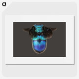 2-7_Insects-Unlocked-Project_picture