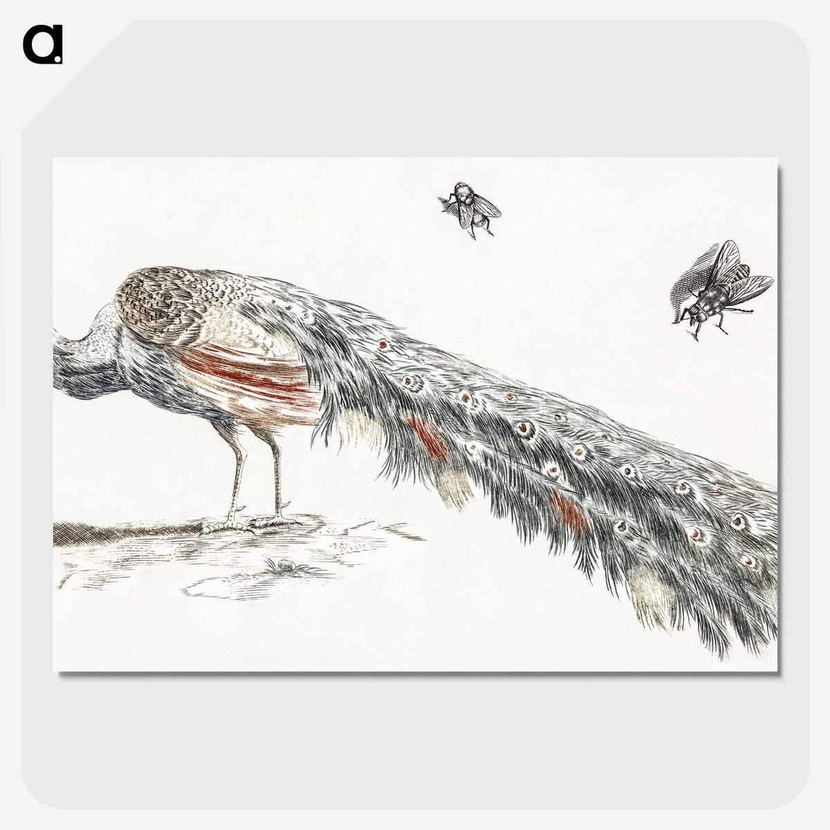 2-7_Johan-Teyler_picture-crop