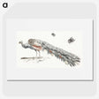 2-7_Johan-Teyler_picture