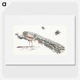2-7_Johan-Teyler_picture