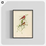 2-7_John-Gould_blk-crop