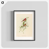 2-7_John-Gould_blk