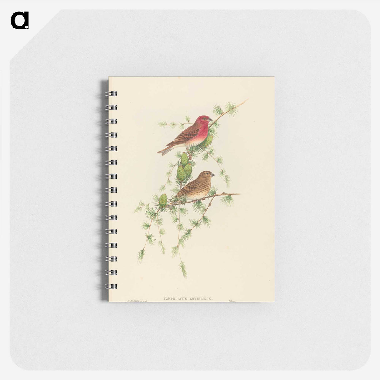 2-7_John-Gould_memo