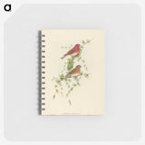 2-7_John-Gould_memo