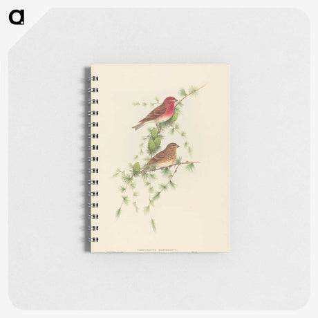 2-7_John-Gould_memo