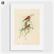 2-7_John-Gould_picture