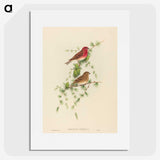 2-7_John-Gould_picture