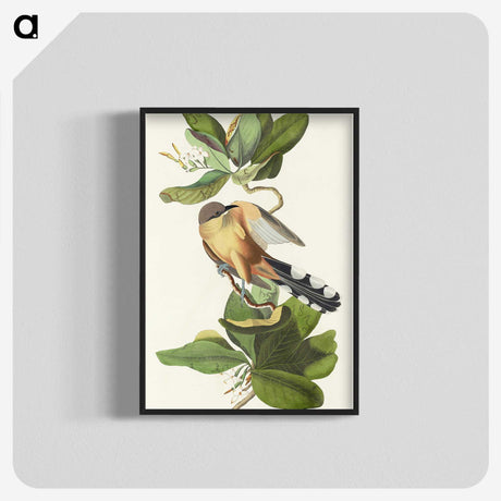 2-7_John-James-Audubon_blk-crop