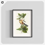 2-7_John-James-Audubon_blk