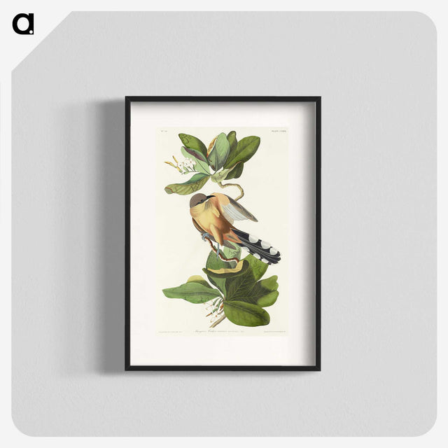2-7_John-James-Audubon_blk
