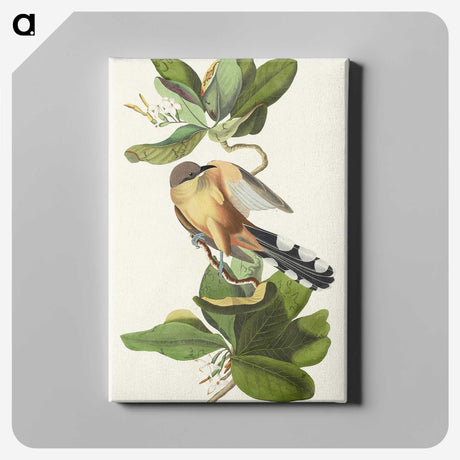 2-7_John-James-Audubon_canvas