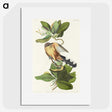 2-7_John-James-Audubon_picture