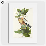 2-7_John-James-Audubon_picture