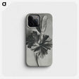 2-7_Karl-Blossfeldt_phone