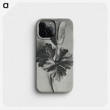 2-7_Karl-Blossfeldt_phone