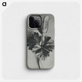 2-7_Karl-Blossfeldt_phone