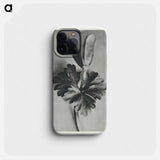 Anemone Blanda - Karl Blossfeldt Phone Case.