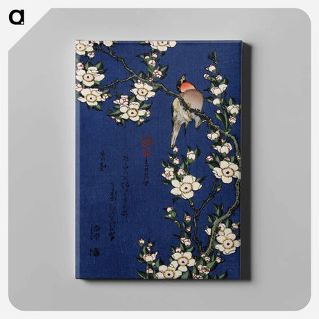 アートパネル-Robin on a branch of cherry blossom - 葛飾 北斎 Canvas.